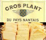 degustation raclette / gros-plant