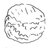 crottin de vache
