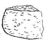 Bethmale Fromage des Pyrenees Au plaisir Angers