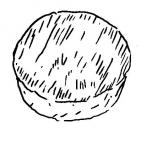 Coulommiers Fromage Lait de vache Seine et Marne