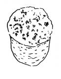 Fourme d'Ambert Fromage AOC Auvergne