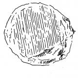 Munster AOP Fromagerie Au plaisir