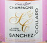 Champagne rosé